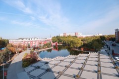 艺考生本科保底策略：动画专业录取机制与升学路径解析