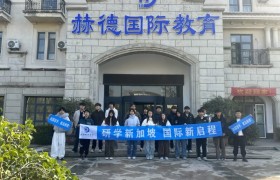 赫德国际教育：临沂本地化留学服务深度测评