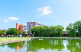 体制内转轨日高：系统化路径助力名校升学