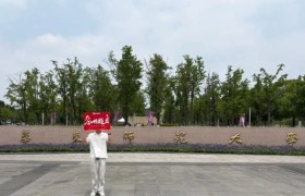 上海插班生备考如何选课？熵岸教育服务体系解析